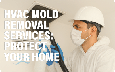 HVAC Mold Removal Services: Protect Your Home and Air Quality