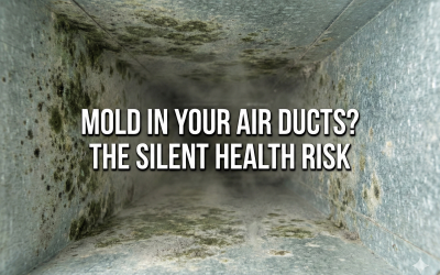 MOLD IN YOUR AIR DUCTS? THE SILENT HEALTH RISK