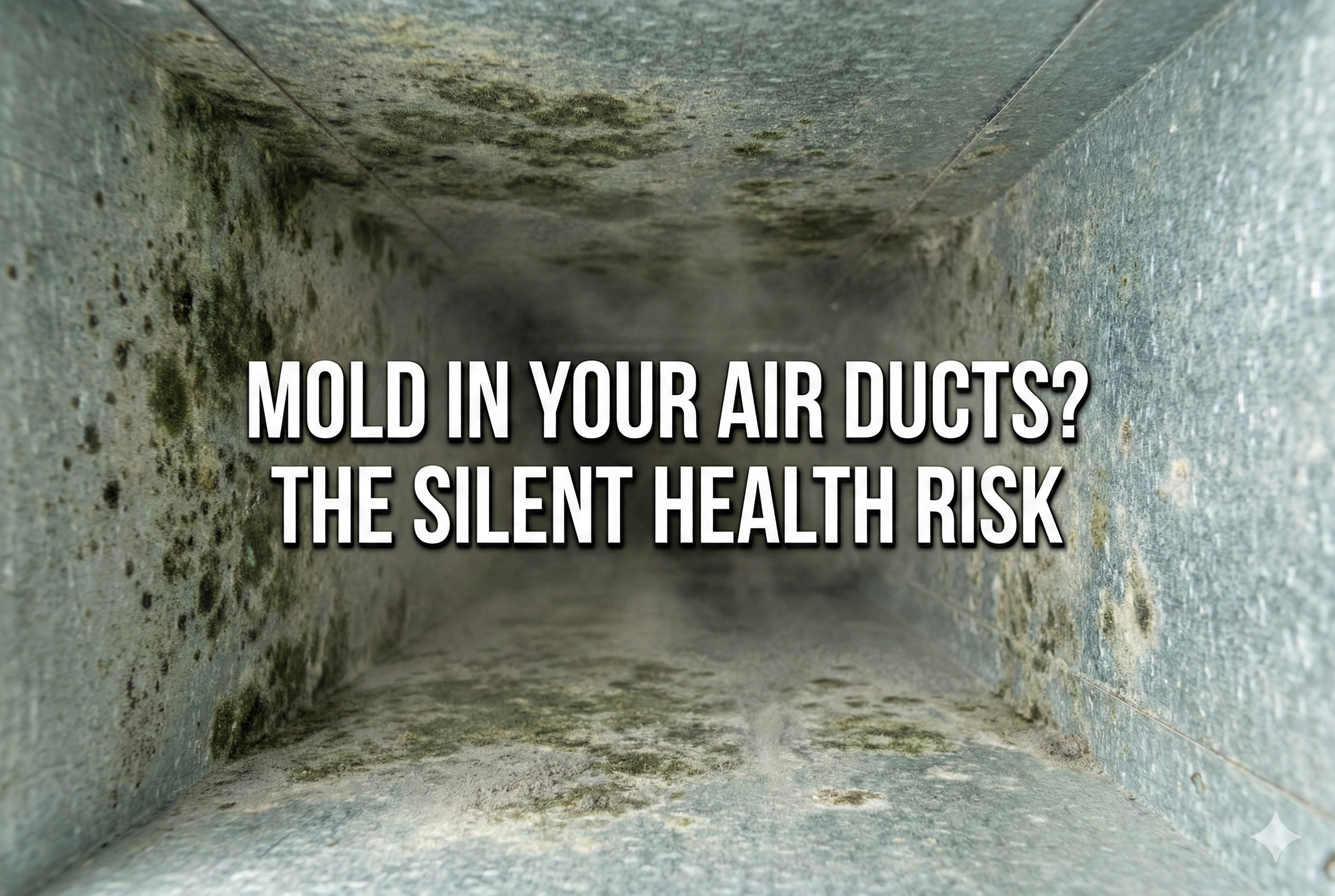 mold in air ducts