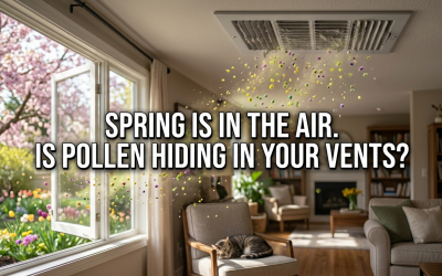Spring Allergy Relief: Why Your Air Ducts are a Pollen Trap