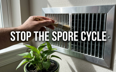 Mold Prevention Air Duct Cleaning: The Science of Keeping Your Vents Dry and Sterile