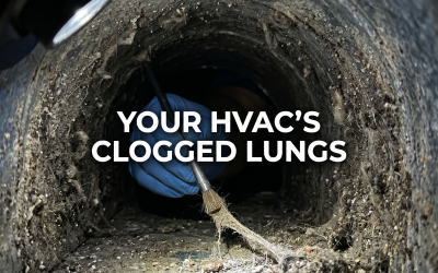 HVAC System Longevity: Why Clean Ducts are the Secret to a 20-Year Appliance