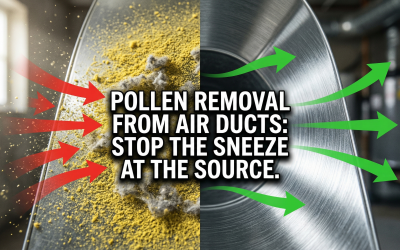 Pollen Removal from Air Ducts: Reclaim Your Sanctuary Today
