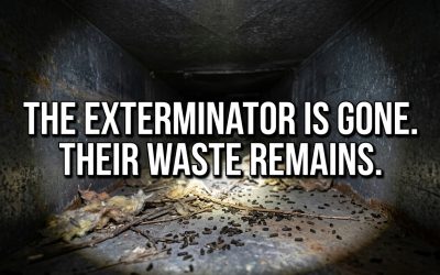 Cleaning Air Ducts After a Rodent Infestation: Eliminate the Biohazard