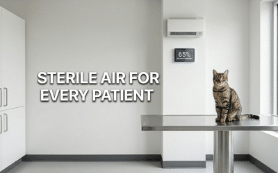 Veterinary Clinic Air Duct Cleaning: The Science of Cross-Contamination Control