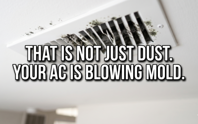 Mold in Air Ducts Symptoms: How to Identify and Eliminate the Threat
