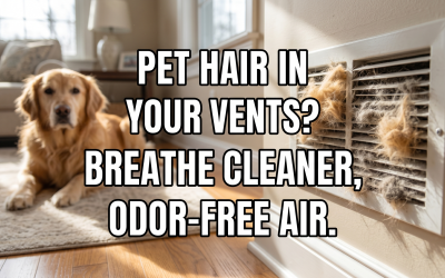 Air Duct Cleaning for Pet Owners: Eliminate Hidden Hair and Odors