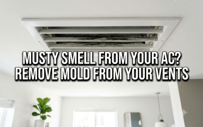 Air Duct Cleaning for Mold in Vents: Stop Musty Odors at the Source