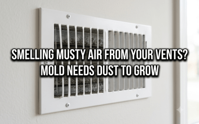 Air Duct Cleaning for Mold Prevention: Stop Musty Spores at the Source
