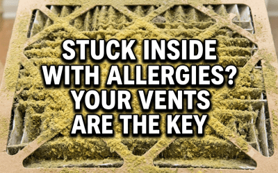 Indoor Air Quality During Peak Allergy Season: Why Your Home is Your Sanctuary