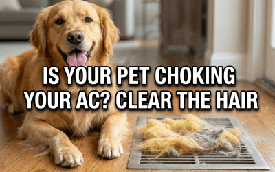 Pet Hair in Air Vents: How Your Furry Friends Are Choking Your HVAC