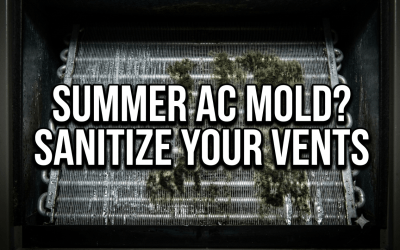 Summer HVAC Mold Treatment: Fighting July Humidity in Your Ducts