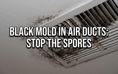 Black Mold in Air Ducts: Warning Signs and Professional Remediation