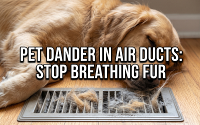 Pet Dander in Air Ducts: How Your HVAC Recirculates Animal Allergens
